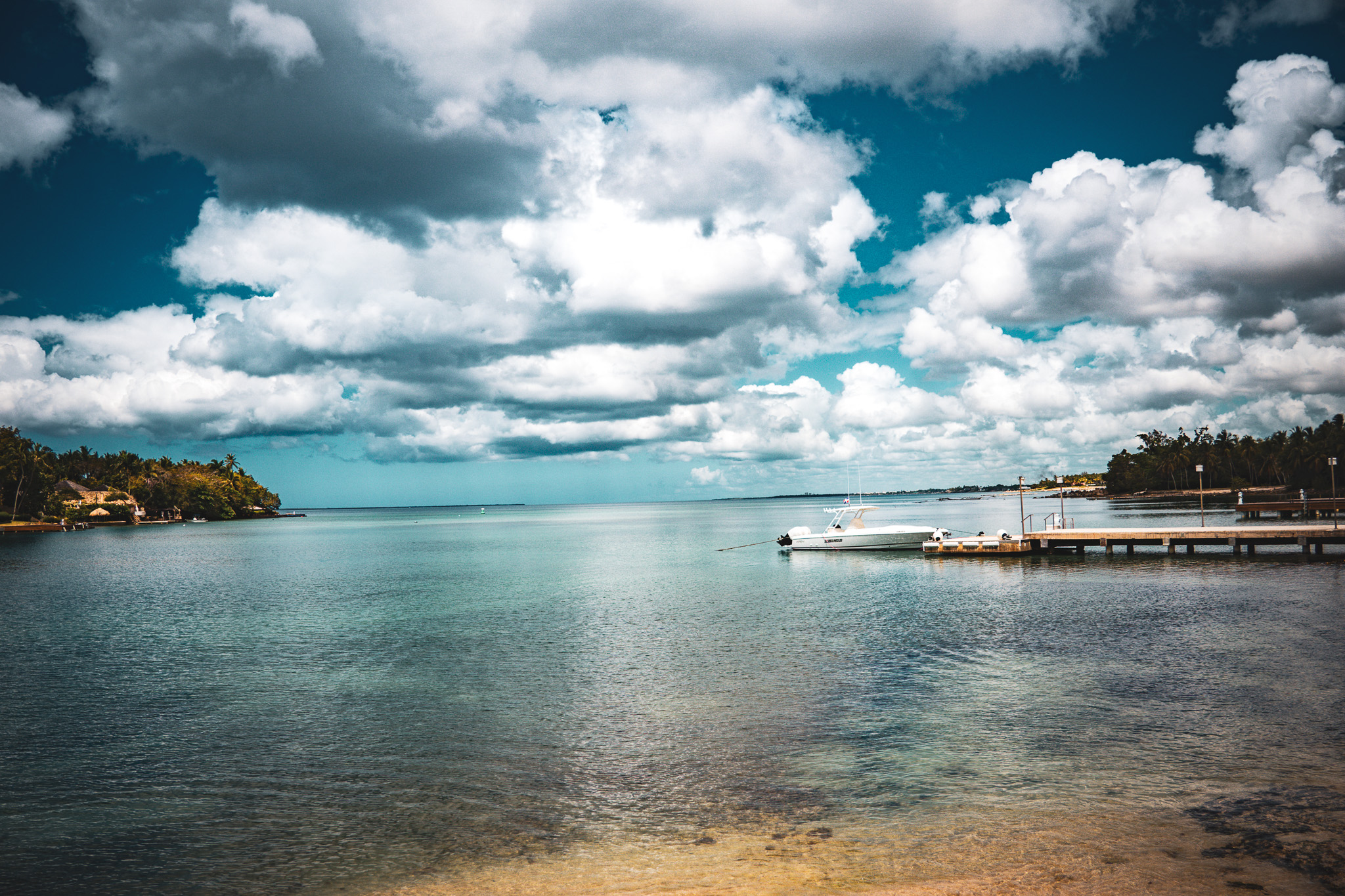 Tropical marina and water
